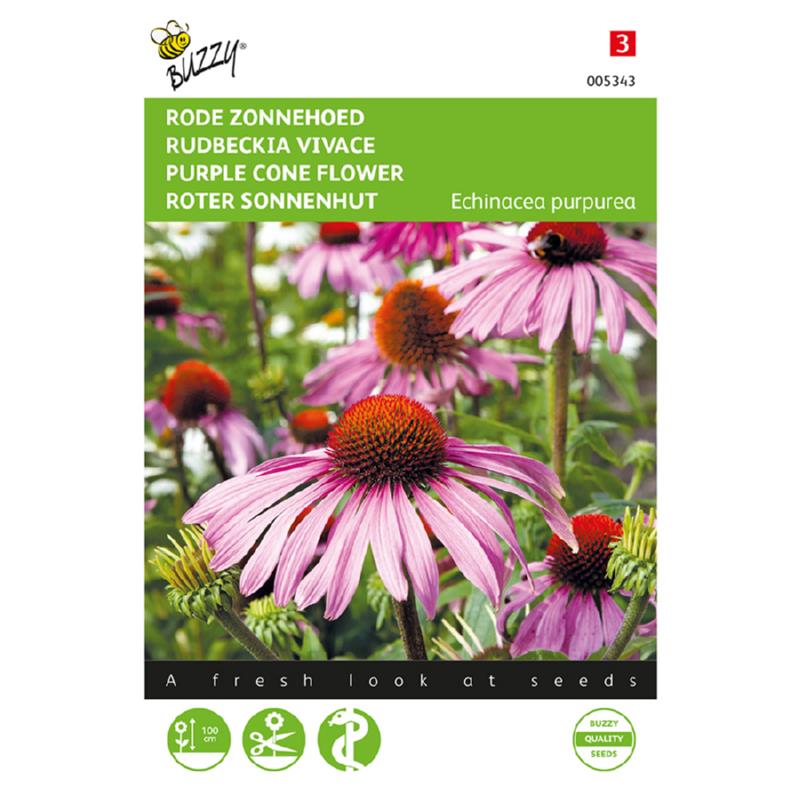 Buzzy® Echinacea, Rode Zonnehoed
