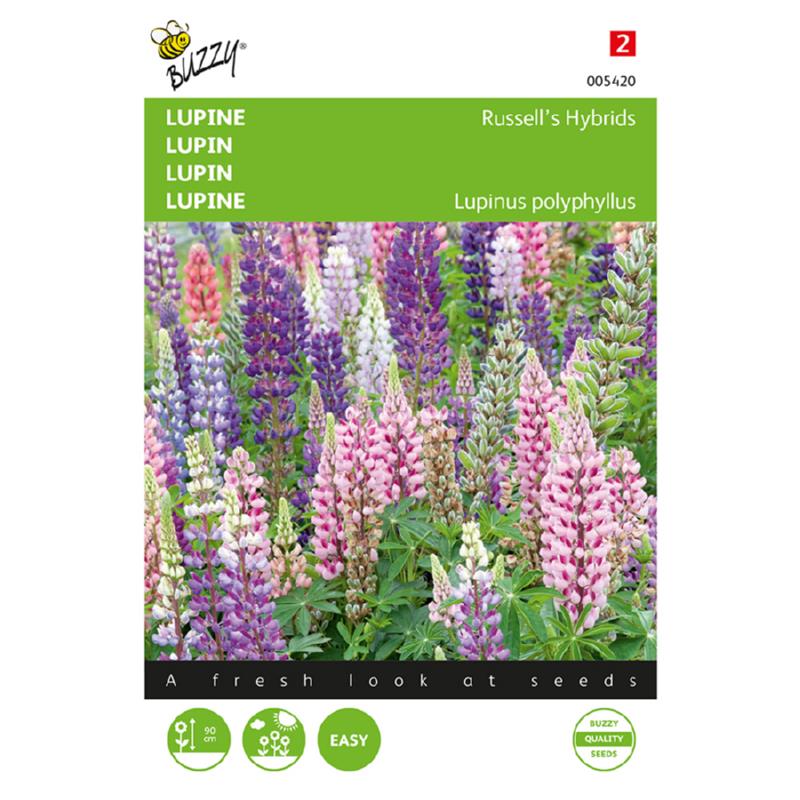 Buzzy® Lupinus, Lupine Russell’s Hybrids gemengd