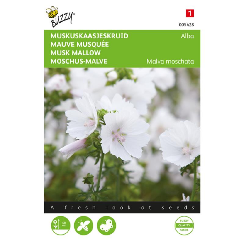 Buzzy® Malva, Muskuskaasjeskruid Alba wit