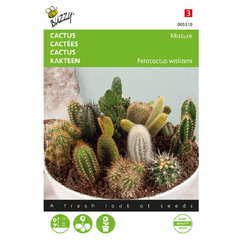 Buzzy® Cactus mixture All kinds