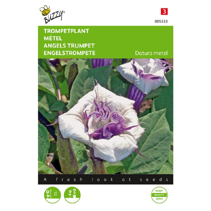 Buzzy® Angels trumpet
