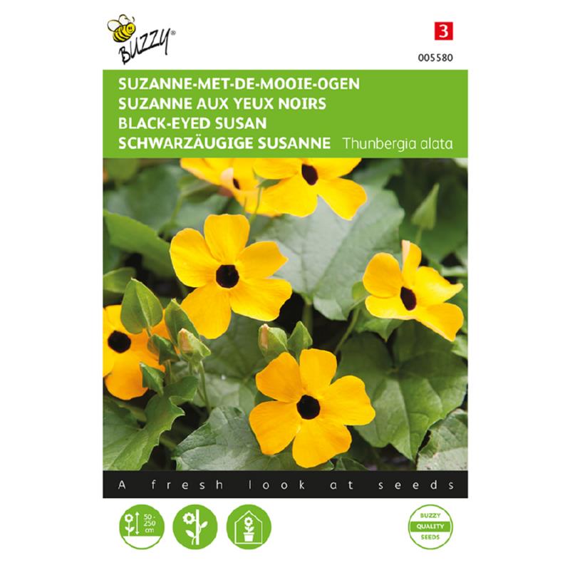 Buzzy® Thunbergia, Suzanne-met-de-mooie-ogen