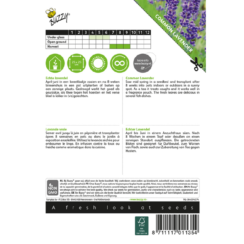 Buzzy® Lavande vraie - Lavandula officinalis