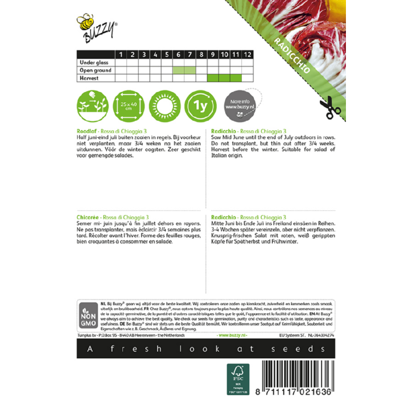 Buzzy® Roodlof Rossa di Chioggia 3