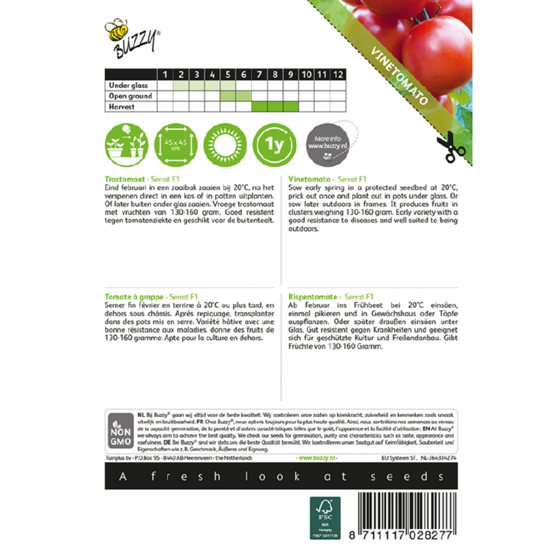 Buzzy® Vine Tomato Serrat F1