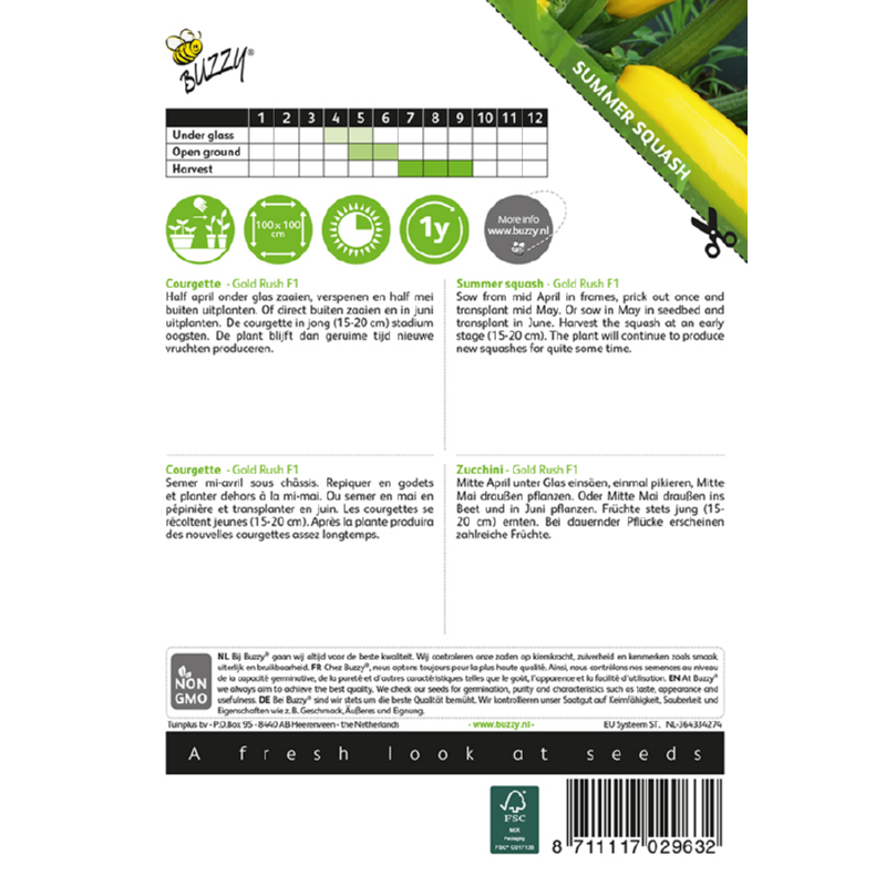 Buzzy® Summer squash Gold Rush F1