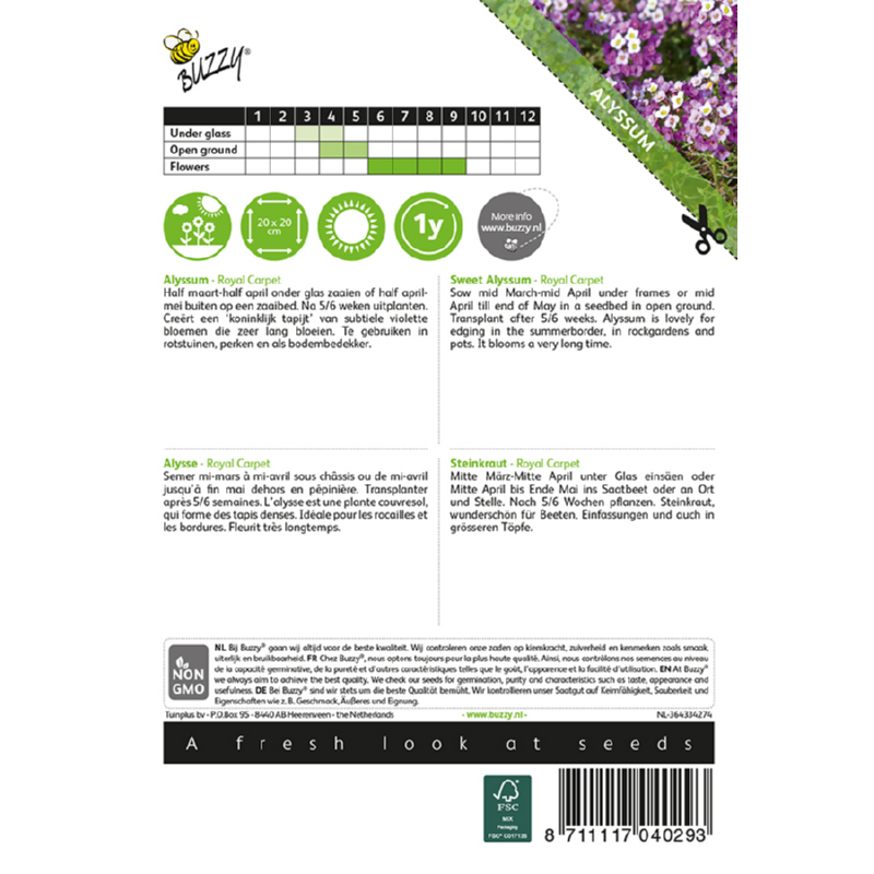 Buzzy® Alyssum Royal Carpet