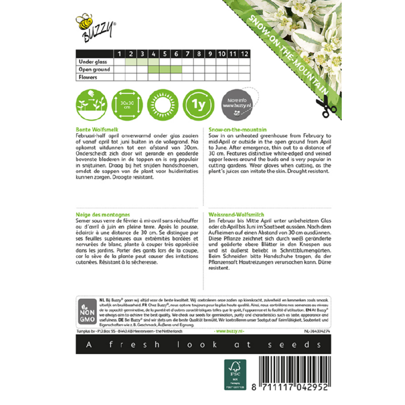 Buzzy® Snow-on-the-mountain