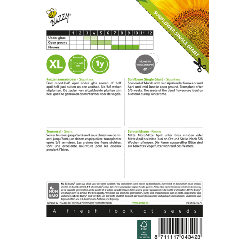Buzzy® Helianthus, Reuzenzonnebloem Giganteus