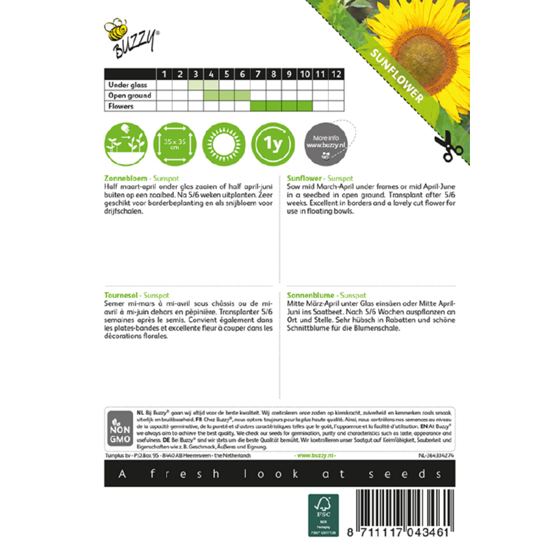 Buzzy® Helianthus, lage zonnebloem Sunspot geel