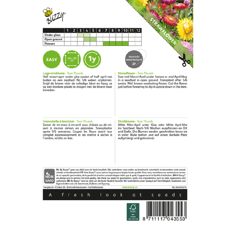 Buzzy® Helichrysum, lage Strobloem Tom Thumb