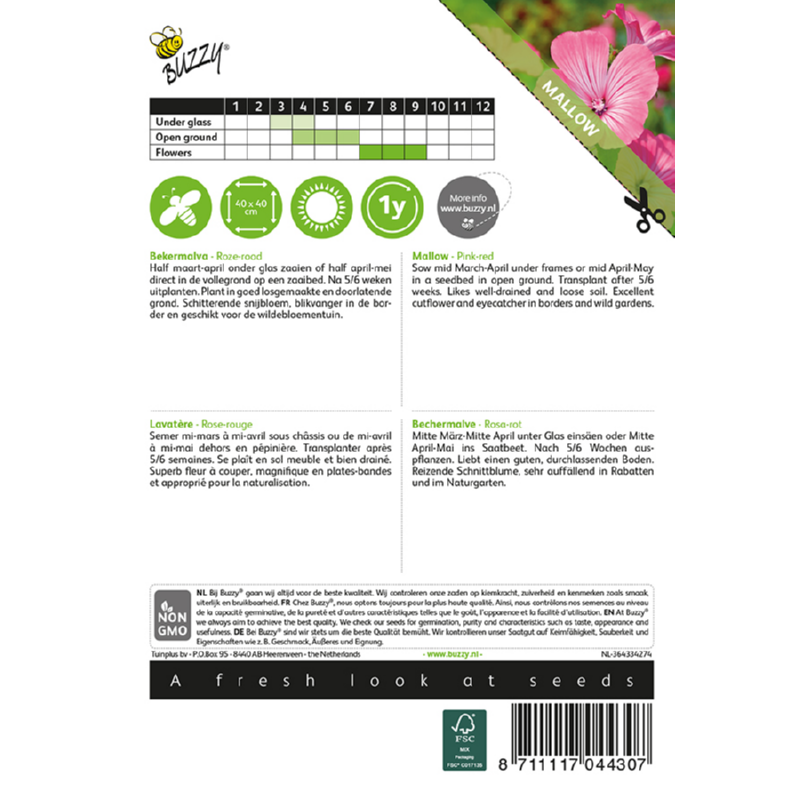Buzzy® Lavatera, Bekermalva Roze/Rood