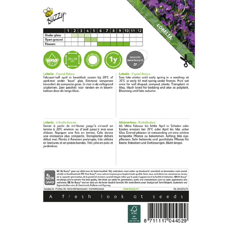 Buzzy® Lobelia Crystal Palace