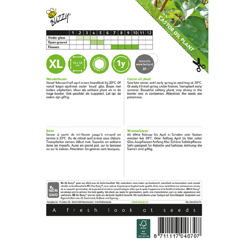 Buzzy® Castor oil plant Zanzibariensis