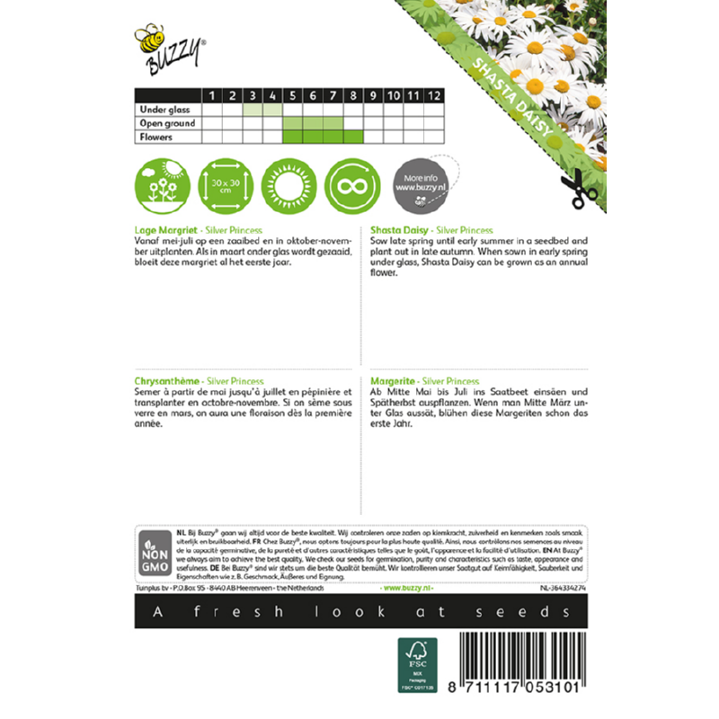 Buzzy® Shasta Daisy Silver Princess