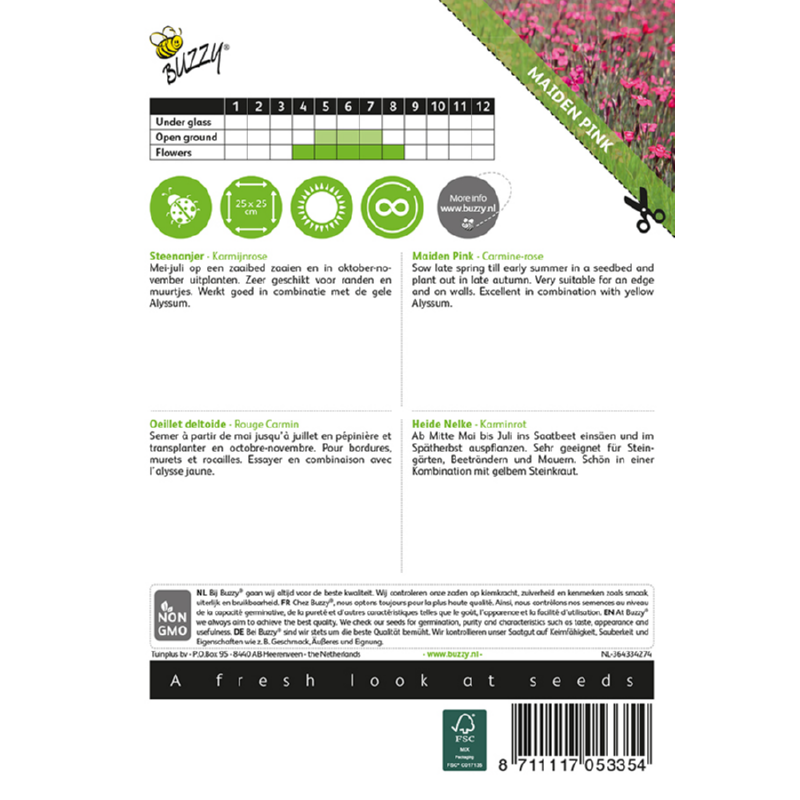 Buzzy® Dianthus, Steenanjer Karmijnrose