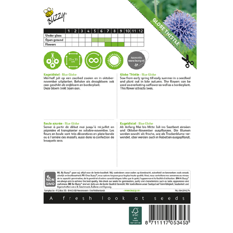 Buzzy® Globe Thistle Blue Globe