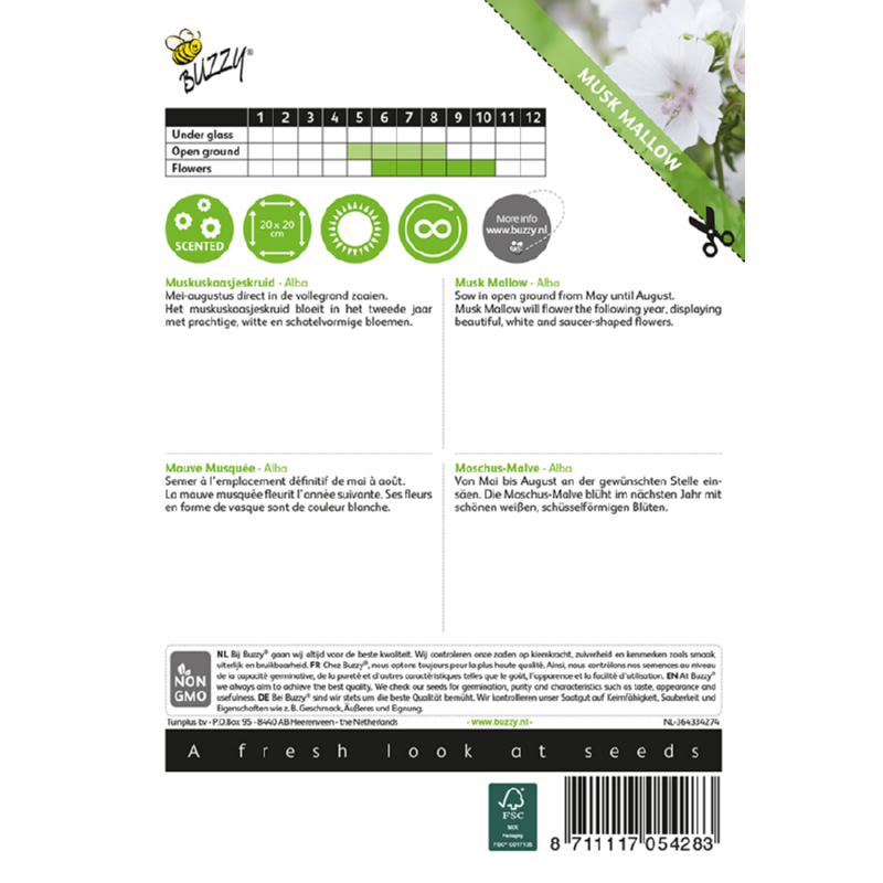 Buzzy® Malva, Muskuskaasjeskruid Alba wit