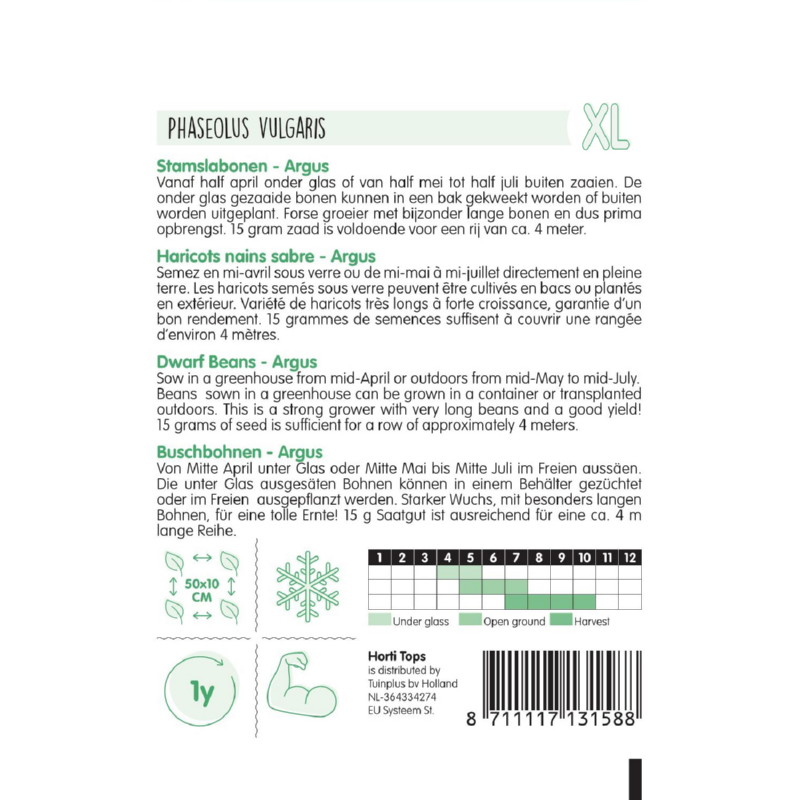 Horti Tops® Dwarf Beans Argus