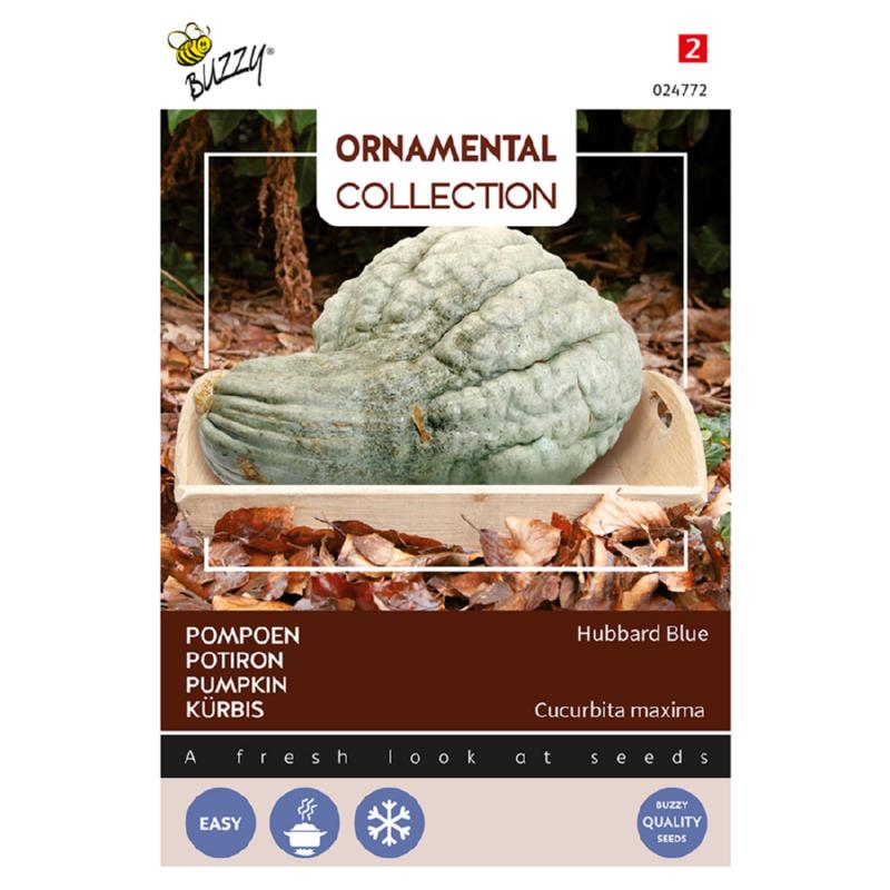 Buzzy® Ornamental, Pompoen Hubbard Blue