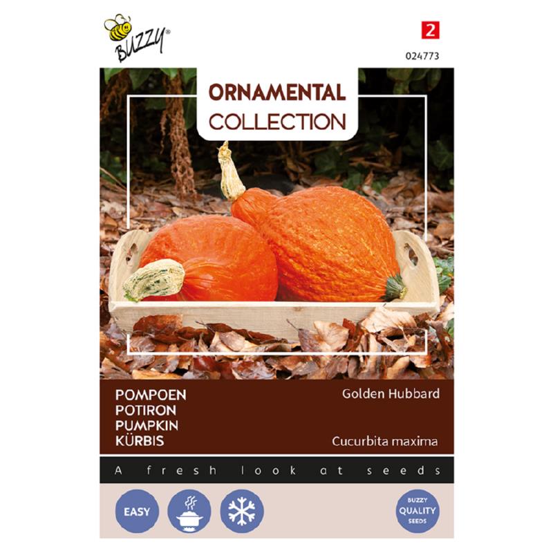 Buzzy® Ornamental, Pumpkin Golden Hubbard