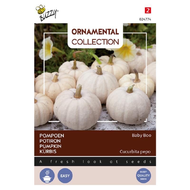 Buzzy® Ornamental, Pumpkin Baby Boo