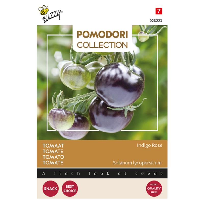 Buzzy® Pomodori, Tomato Indigo rose (black)