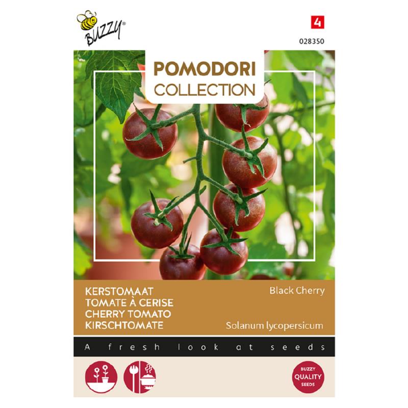 Buzzy® Pomodori, Cherry tomato Black Cherry