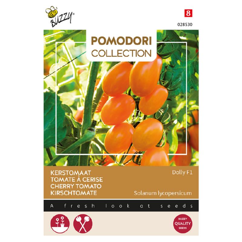 Buzzy® Pomodori, Cherry Tomato Dolly F1