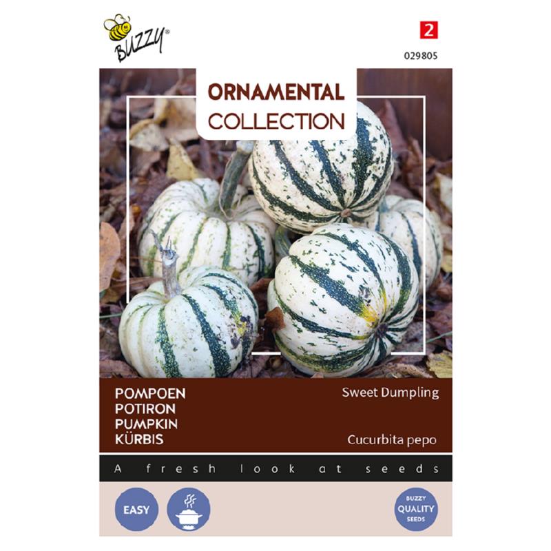 Buzzy® Ornamental Pumpkin Sweet Dumpling