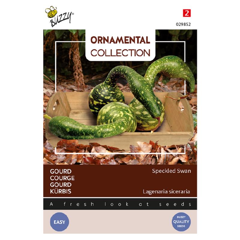Buzzy® Ornamental Gourd Speckled Swan
