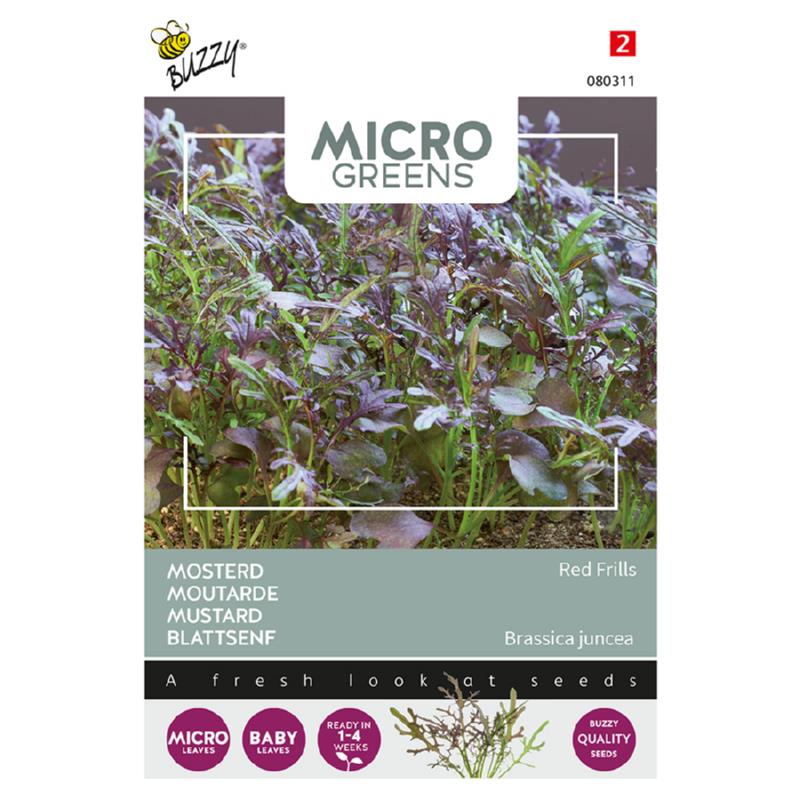 Buzzy® Microgreens, Mustard Red Frills