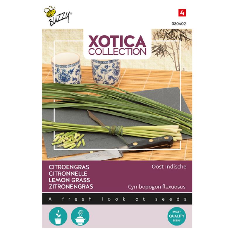Buzzy® Xotica Lemon grass