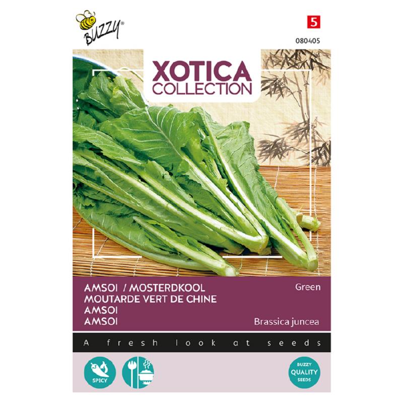 Buzzy® Xotica Amsoi Green