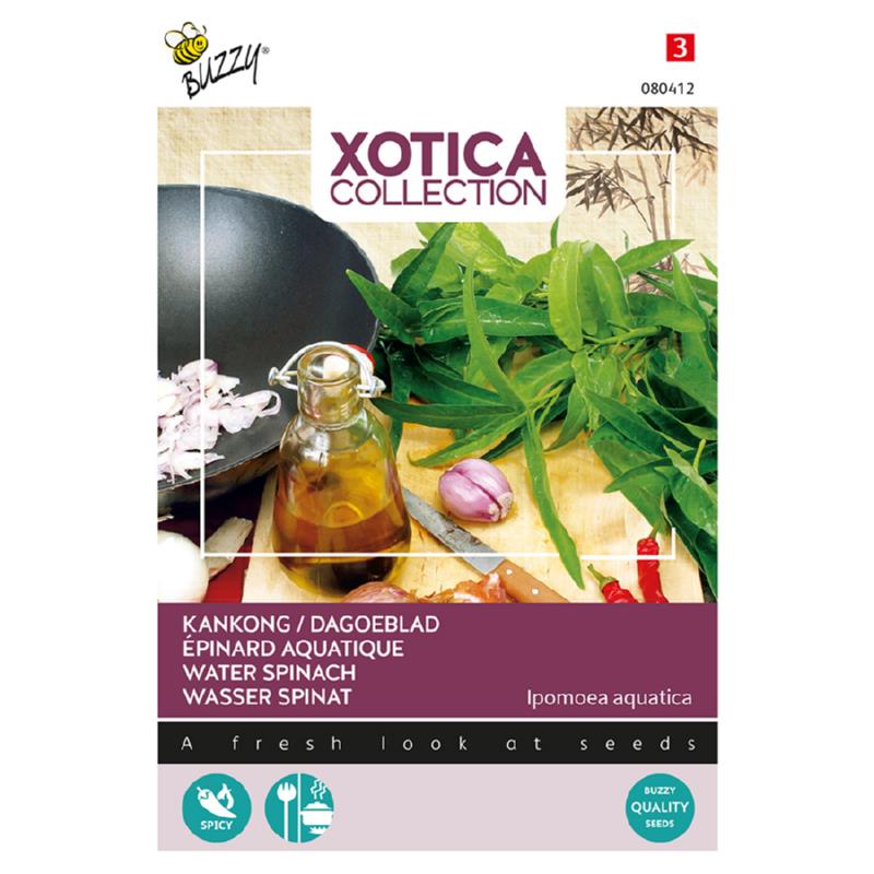 Buzzy® Xotica Kankong,  Water Spinach