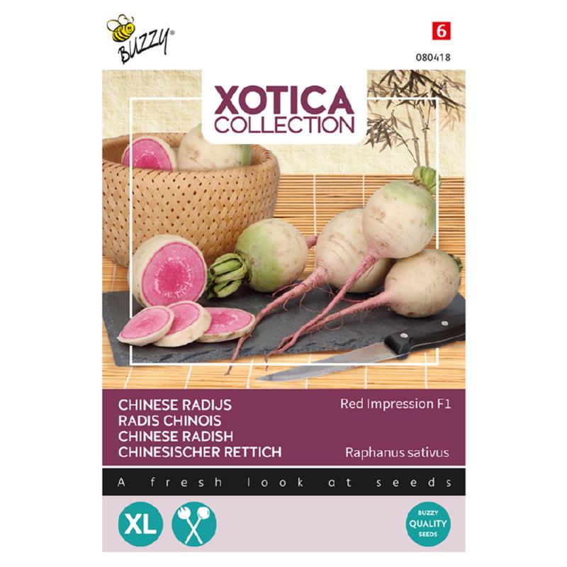 Buzzy® Xotica Chinese Radish Red Impression F1