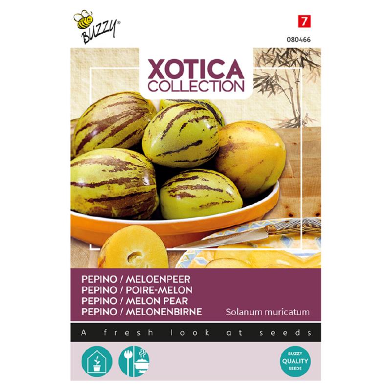Buzzy® Xotica Pepino, Melon Pear
