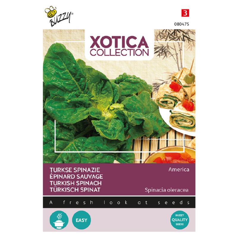 Buzzy® Xotica Turkisch Spinach America