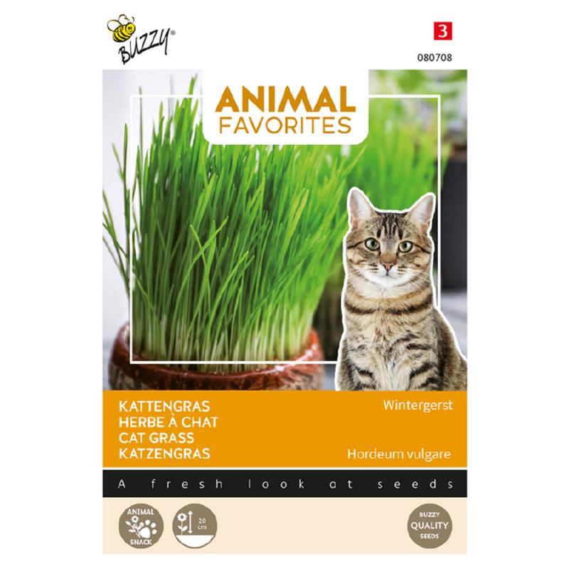 Buzzy® Animal Favorites Cat grass