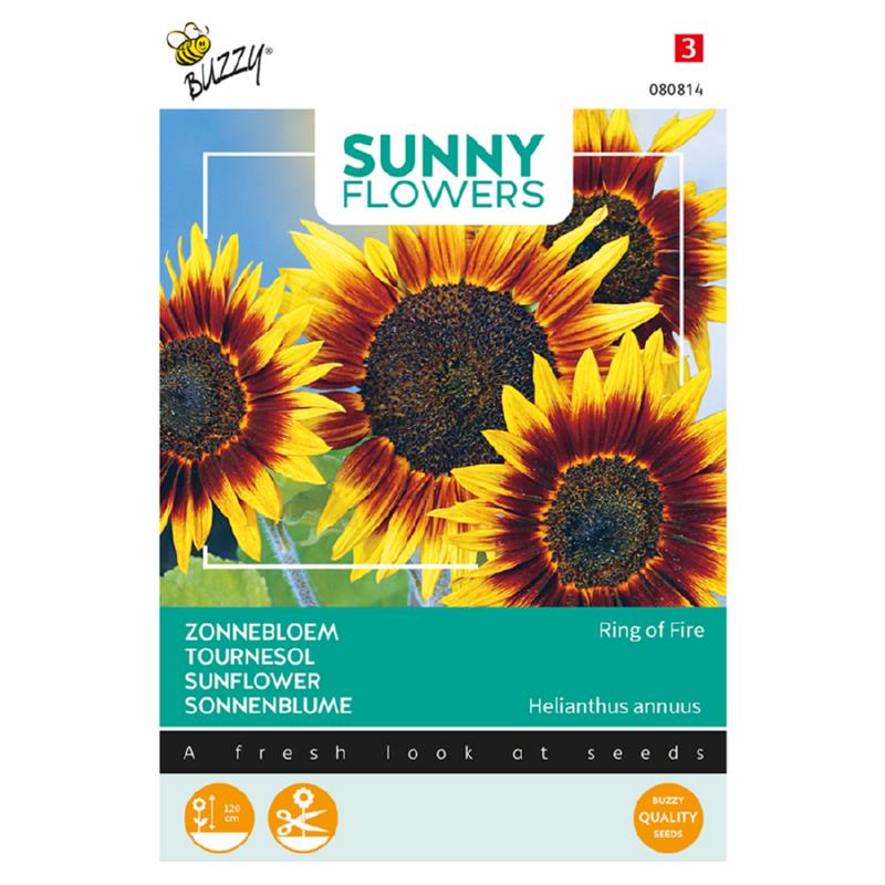 Buzzy® Sunny Flowers, Zonnebloem Ring of Fire