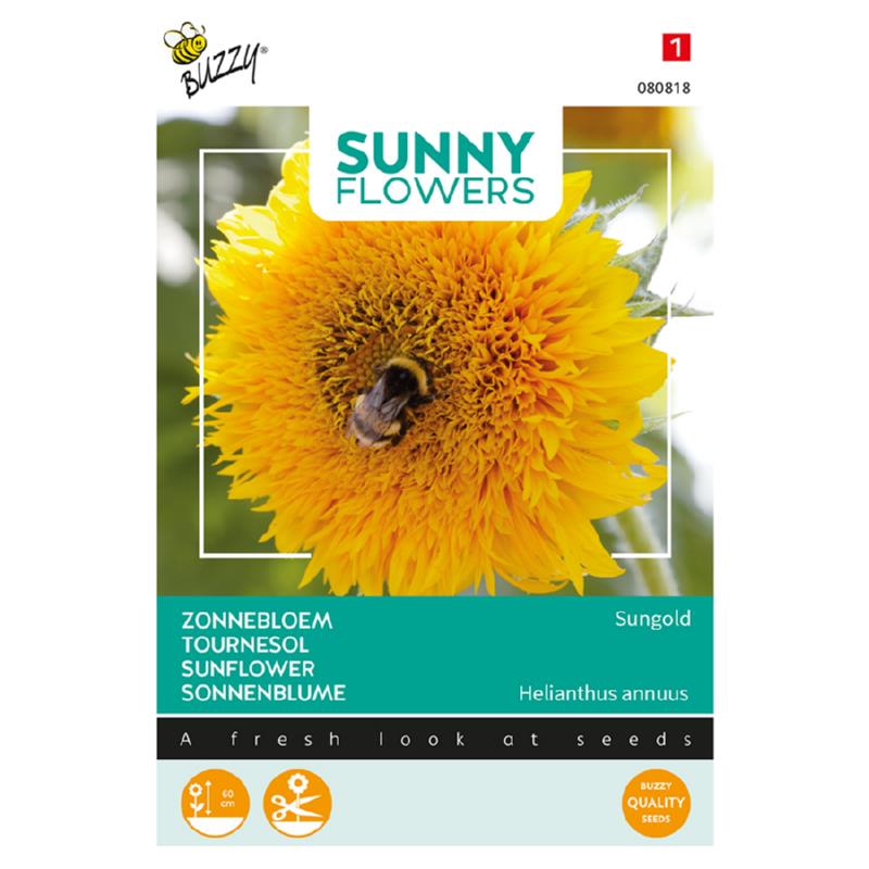 Buzzy® Sunny Flowers, lage Zonnebloem Sungold dubbelbloemig