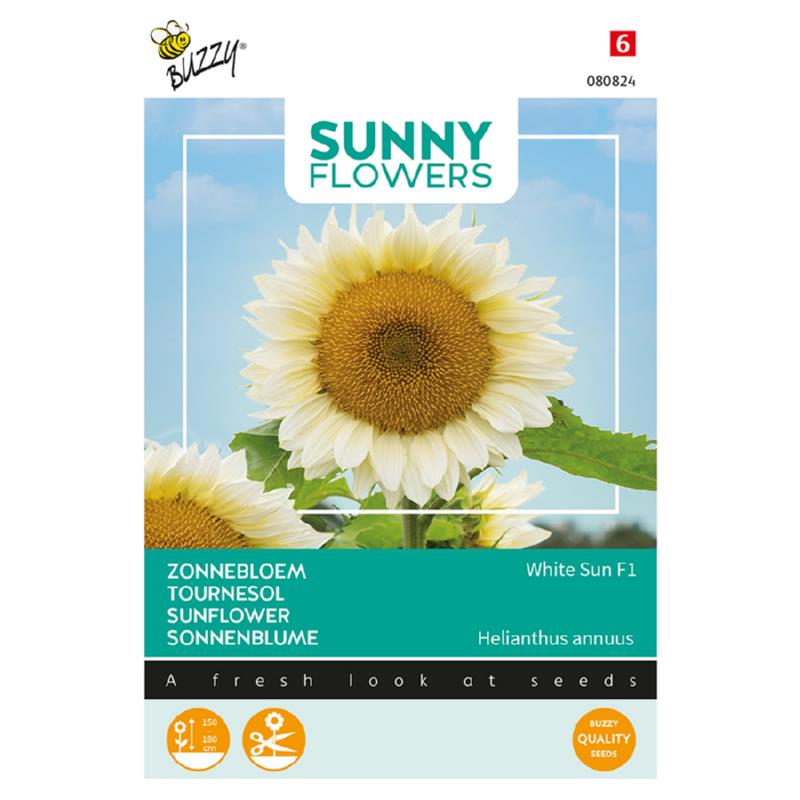 Buzzy® Sunny Flowers, Zonnebloem White Sun F1
