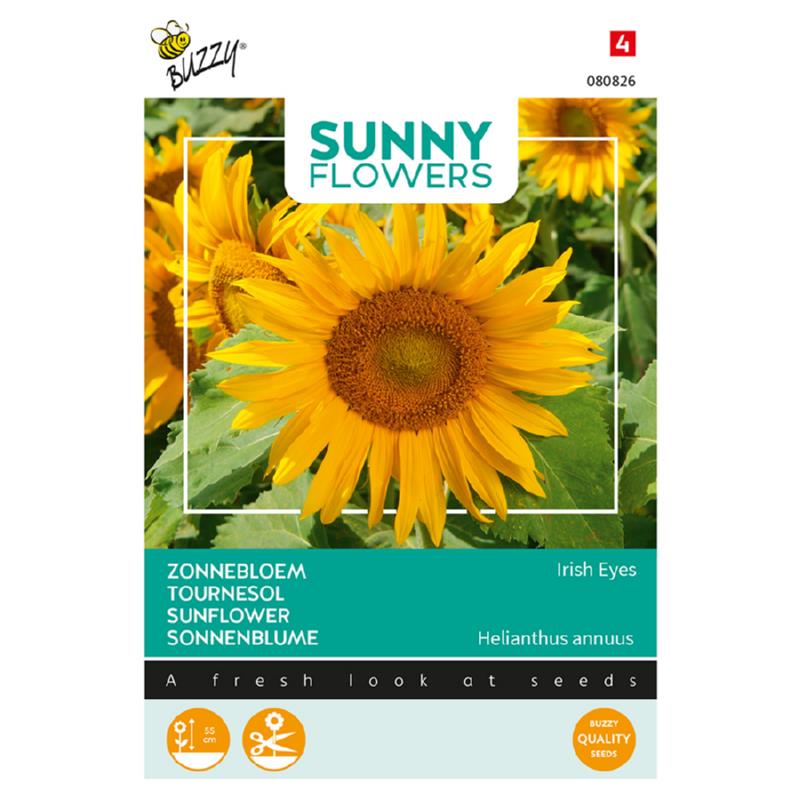 Buzzy® Sunny Flowers, Sunflower Irish Eyes