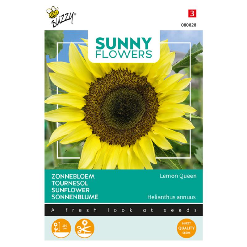 Buzzy® Sunny Flowers, Sunflower Lemon Queen
