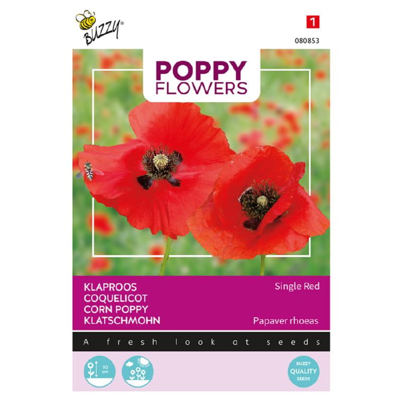 Buzzy® Poppy Flowers, Klaproos Rhoeas Rood