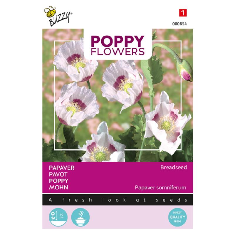 Buzzy® Poppy Flowers Breadseed