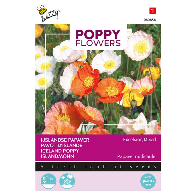 Buzzy® Poppy Flowers Iceland Poppy