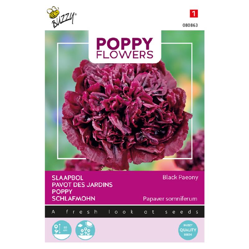 Buzzy® Poppy Flowers, Poppy Black Paeony