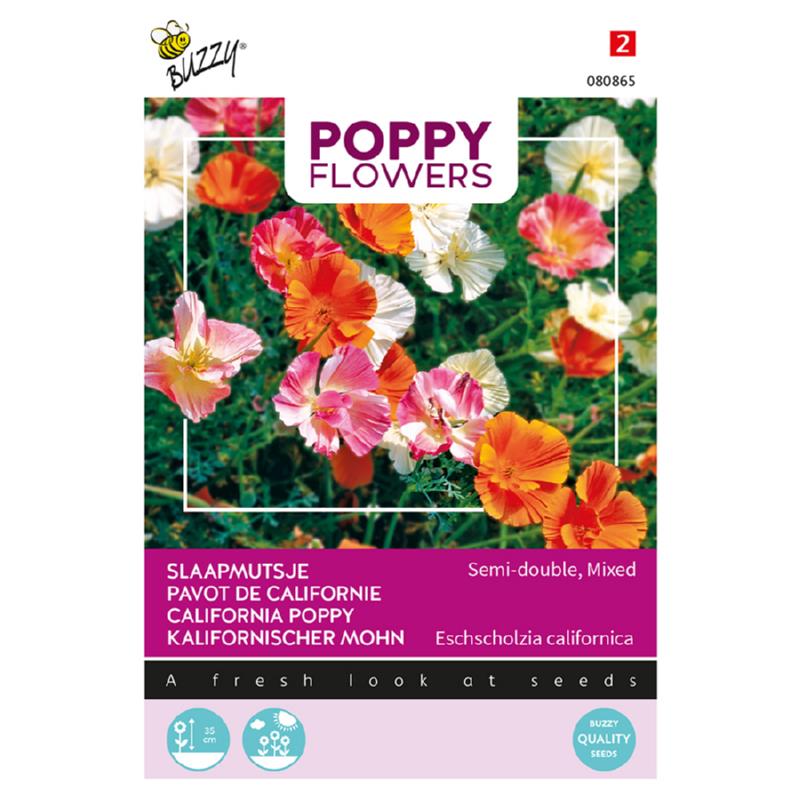 Buzzy® Poppy Flowers, California Poppy