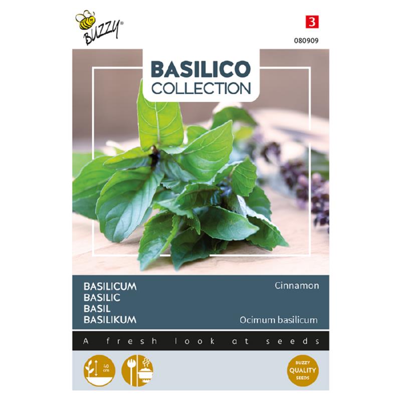 Buzzy® Kaneelbasilicum